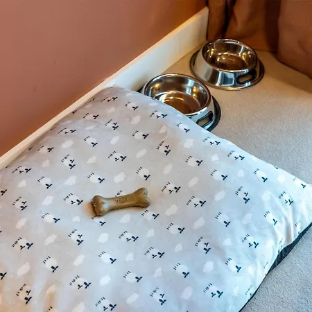 Hotel Cenica Hotel, Curio Collection By Hilton