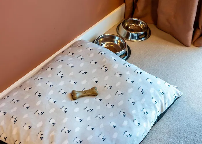 Hotel Cenica Hotel, Curio Collection By Hilton